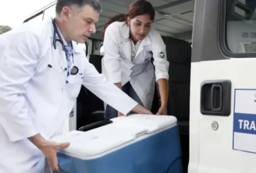 Transplantes no Brasil batem recorde em 2025 com 31 mil procedimentos