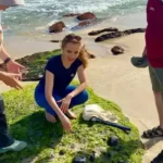 Restinga de Jaconé revela riqueza ambiental e científica em reportagem especial