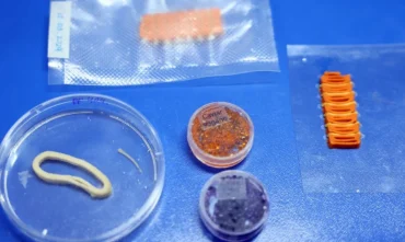 Embrapa desenvolve alimentos veganos que reproduzem salmão, caviar e lula