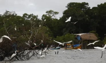 Programa Amazônia Soberana reforça Segurança em áreas de fronteira e combate ao crime organizado