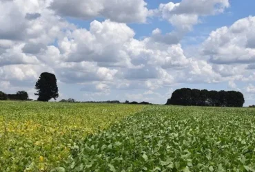 O erro que pode deixar o produtor fora do próximo Plano Safra