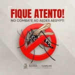 Vigilância em Saúde: Barra do Garças intensifica combate à dengue após monitoramento por armadilhas