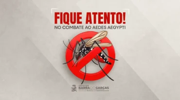Aedes aegypti