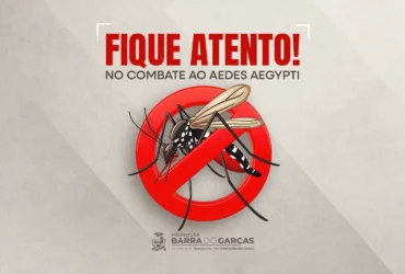 Aedes aegypti