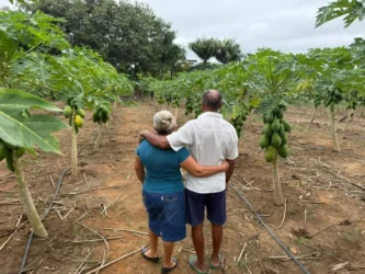 Agricultura familiar em Nova Monte Verde impulsiona renda na aposentadoria