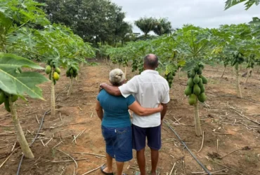 Agricultura familiar em Nova Monte Verde impulsiona renda na aposentadoria