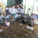 Alunos da rede municipal de Sinop conhecem mini fazenda e participam de interação com animais durante a Exponorte