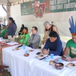 Audiência na Assembleia Legislativa discute demarcação e combate ao garimpo ilegal em Mato Grosso