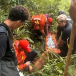 Bombeiros de Mato Grosso resgatam mulher com vida após dias perdida em mata