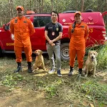 Bombeiros encontram corpo enterrado em Diamantino com auxílio de cão de busca