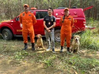 Bombeiros encontram corpo e cão de busca