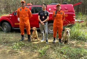 Bombeiros encontram corpo e cão de busca