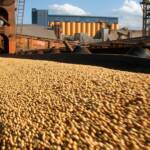 Brasil bate recorde na exportação de soja e mantém liderança global com forte demanda da China