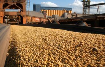 Brasil bate recorde na exportação de soja e mantém liderança global com forte demanda da China