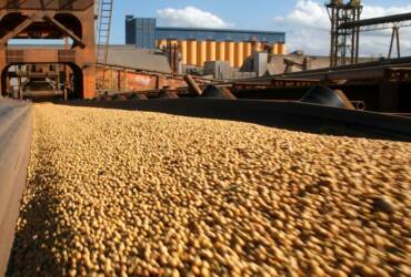 Brasil bate recorde na exportação de soja e mantém liderança global com forte demanda da China