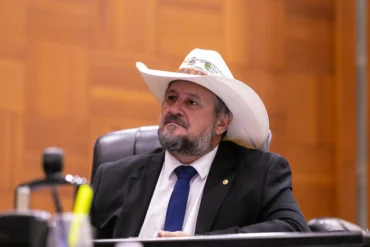 Ferrogrão avança após decisão do STF