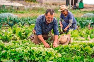Agricultura familiar