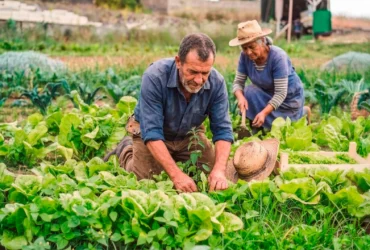 Agricultura familiar