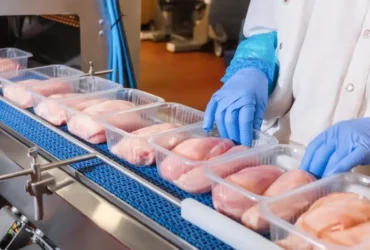Competitividade da carne de frango recua frente às concorrentes