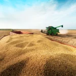Conab estima safra recorde de grãos de 358 milhões de toneladas e maior produção de soja da série histórica