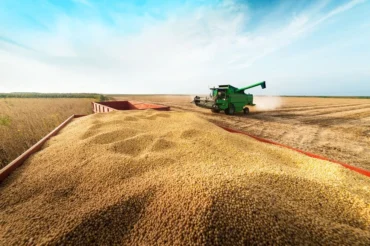 Conab estima safra recorde de grãos de 358 milhões de toneladas e maior produção de soja da série histórica