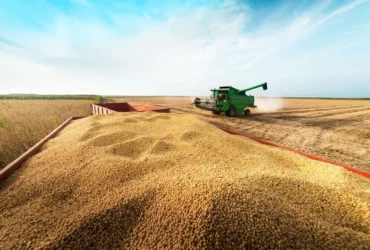 Conab estima safra recorde de grãos de 358 milhões de toneladas e maior produção de soja da série histórica