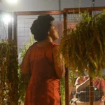 Rondonópolis recebe Festival de Teatro Negro Rainha Terê com inscrições abertas para artistas e escolas