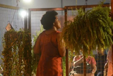 Festival de Teatro Negro Rainha Terê abre inscrições em MT