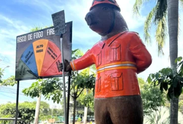 Capivara bombeira vira monumento de alerta contra incêndios em MT