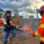 Com foco na seca severa, Bombeiros treinam brigadas rurais e Governo de MT proíbe uso do fogo a partir de julho