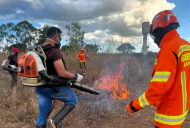 Brigadas florestais em Mato Grosso reforçam combate a incêndios