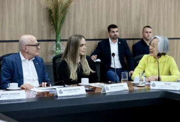 Delegação chinesa em Mato Grosso avalia carne sustentável