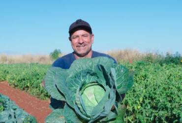 Desenrola Rural é prorrogado até dezembro de 2026 e amplia acesso ao crédito para agricultura familiar