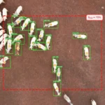 Drones e inteligência artificial revolucionam monitoramento de bovinos e podem reduzir custos na pecuária