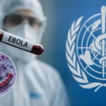O que saber sobre o Vírus Ebola e por que a doença preocupa autoridades de saúde?