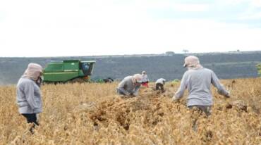 Em 2025, agronegócio emprega mais de 26% da população ocupada no País