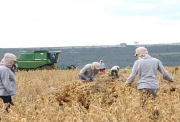 Em 2025, agronegócio emprega mais de 26% da população ocupada no País