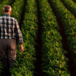 Endividamento de R$ 10,8 bi coloca agro do Paraná em risco, alerta Sistema FAEP