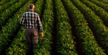 Endividamento de R$ 10,8 bi coloca agro do Paraná em risco, alerta Sistema FAEP