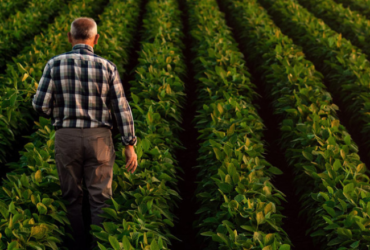 Endividamento de R$ 10,8 bi coloca agro do Paraná em risco, alerta Sistema FAEP