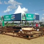 Prefeitura de Sinop terá estande com mini fazenda para receber visitantes durante a Exponorte 2026