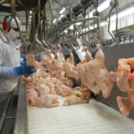 Exportações de carne de aves avançam em abril e devem superar 475 mil toneladas