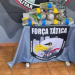 Força Tática apreende supermaconha em ônibus em General Carneiro