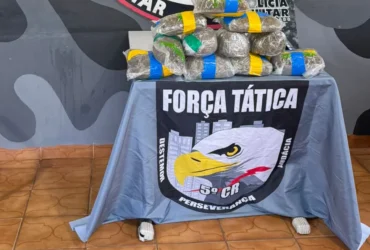 Força Tática apreende supermaconha em ônibus em General Carneiro