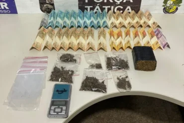 Drogas apreendidas pela Força Tática