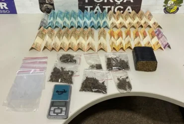 Drogas apreendidas pela Força Tática