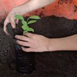 Iniciativa em escola municipal semeia consciência ambiental e hábitos sustentáveis em Lucas do Rio Verde