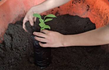 Iniciativa em escola municipal semeia consciência ambiental e hábitos sustentáveis em Lucas do Rio Verde