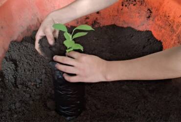 Iniciativa em escola municipal semeia consciência ambiental e hábitos sustentáveis em Lucas do Rio Verde