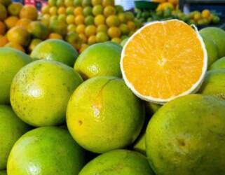 Laranja pera mantém estabilidade em abril, mas acumula forte queda anual